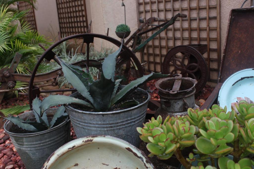 Aber Jetz Guesthouse Pongola Exterior foto